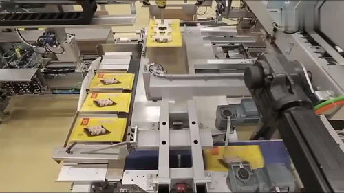 中國機械全自動餃子生產線,全機械化操作,整個工廠看不到一個人